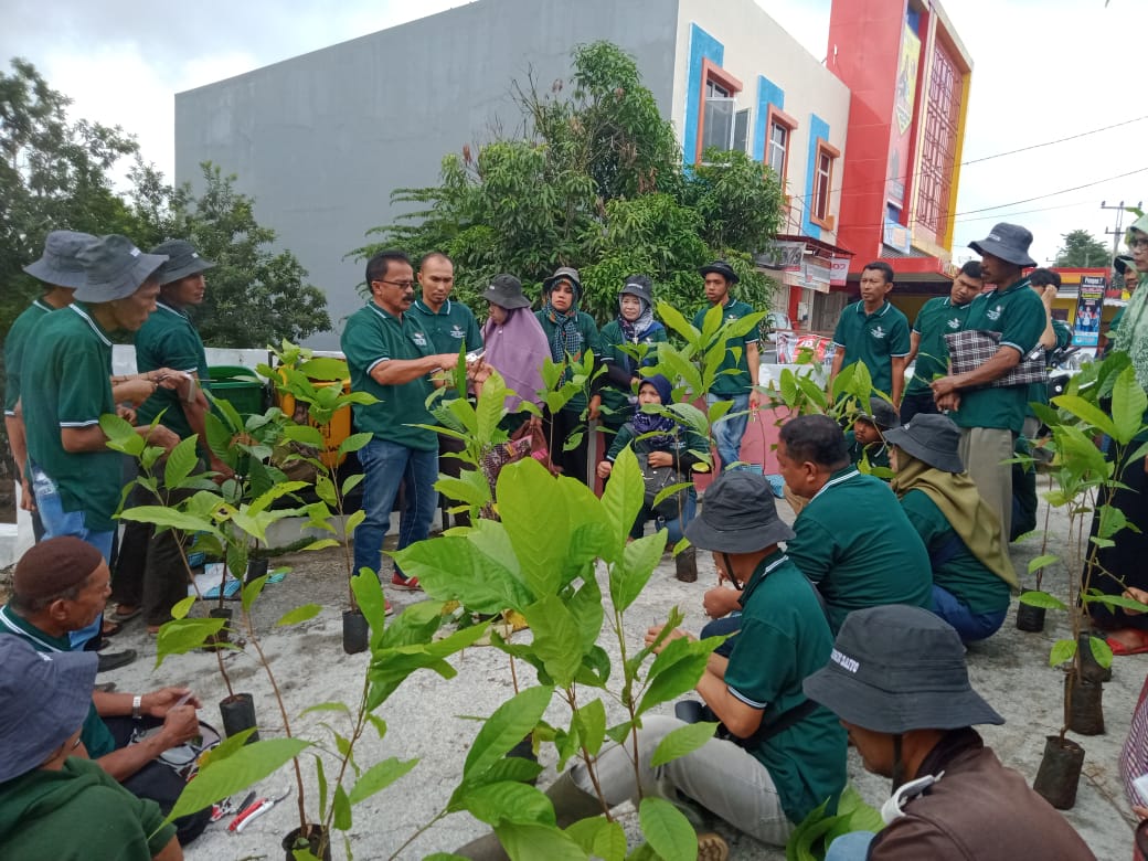 PELATIHAN SAMBUNG SAMPING PUCUK KAKAO